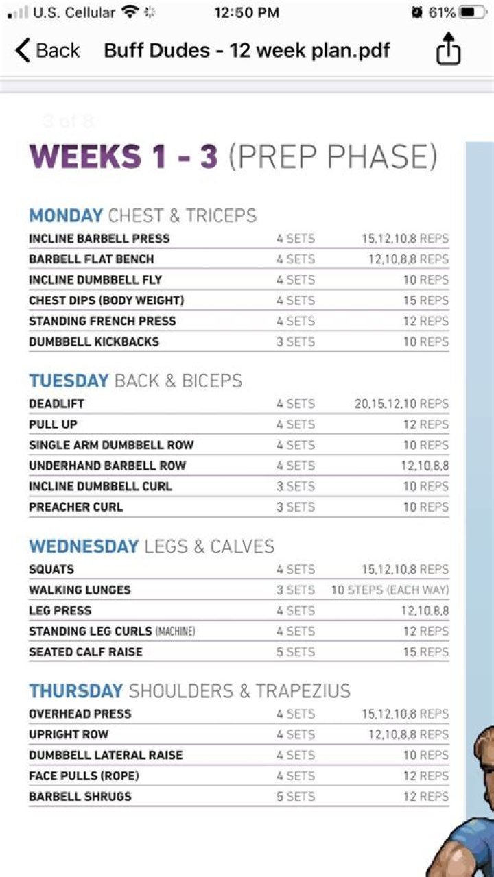 Free Buff Dudes Workout Plan PDF – Easy Gains for Stronger Dudes