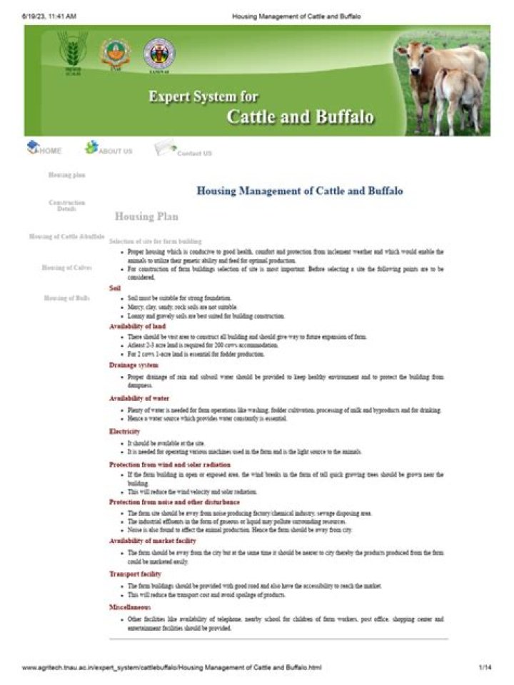 Buffalo Management PDF: Expert Guidelines for Effective Herd Control