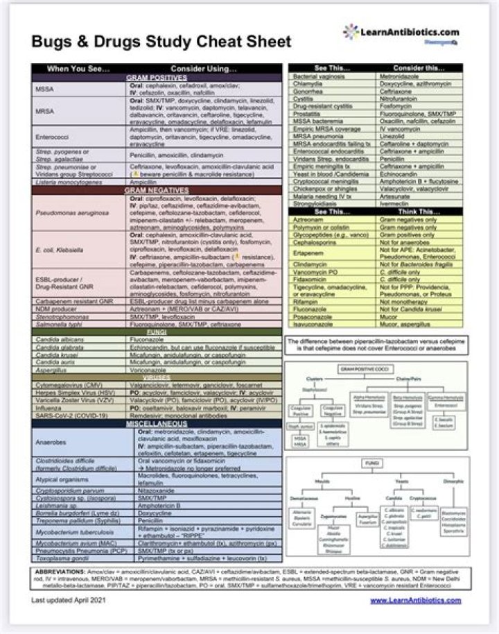 Bugs and Drugs Cheat Sheet PDF – Essential Quick Reference