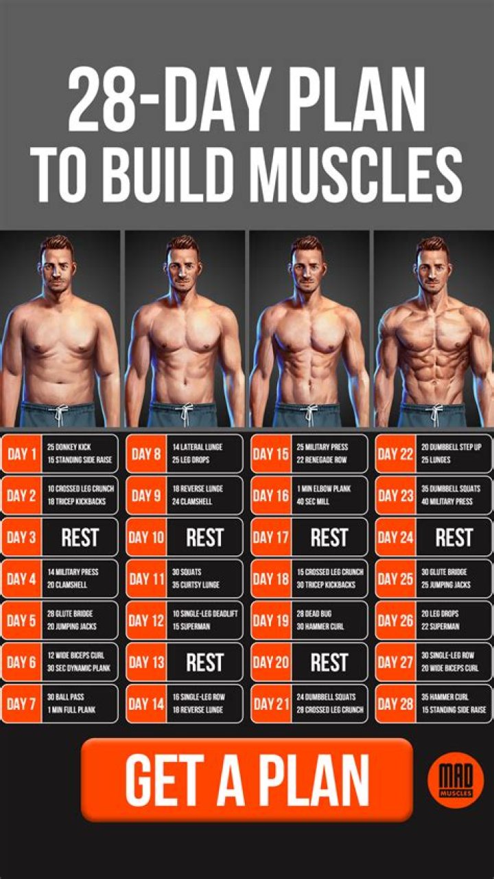 Build Muscle Workout Plan PDF: Effective Strength Training Guide
