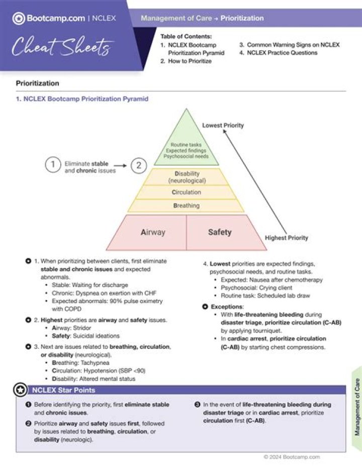 Building Champions: Priority Management Tool PDF for High-Performance Teams