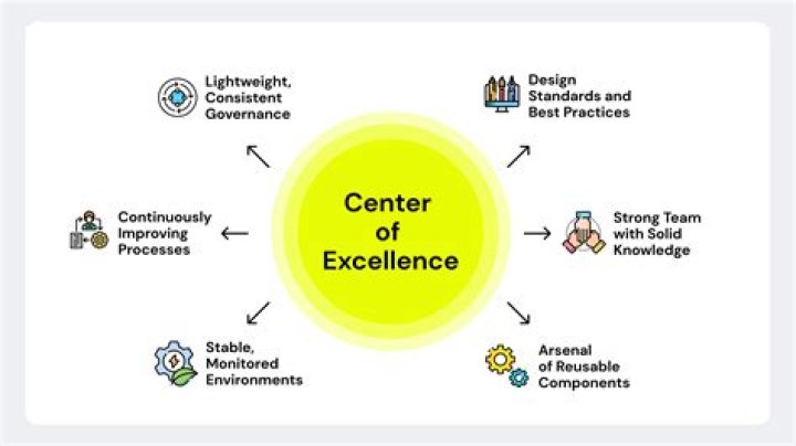 Building Project Management Centers of Excellence: PDF Guide to Best Practices