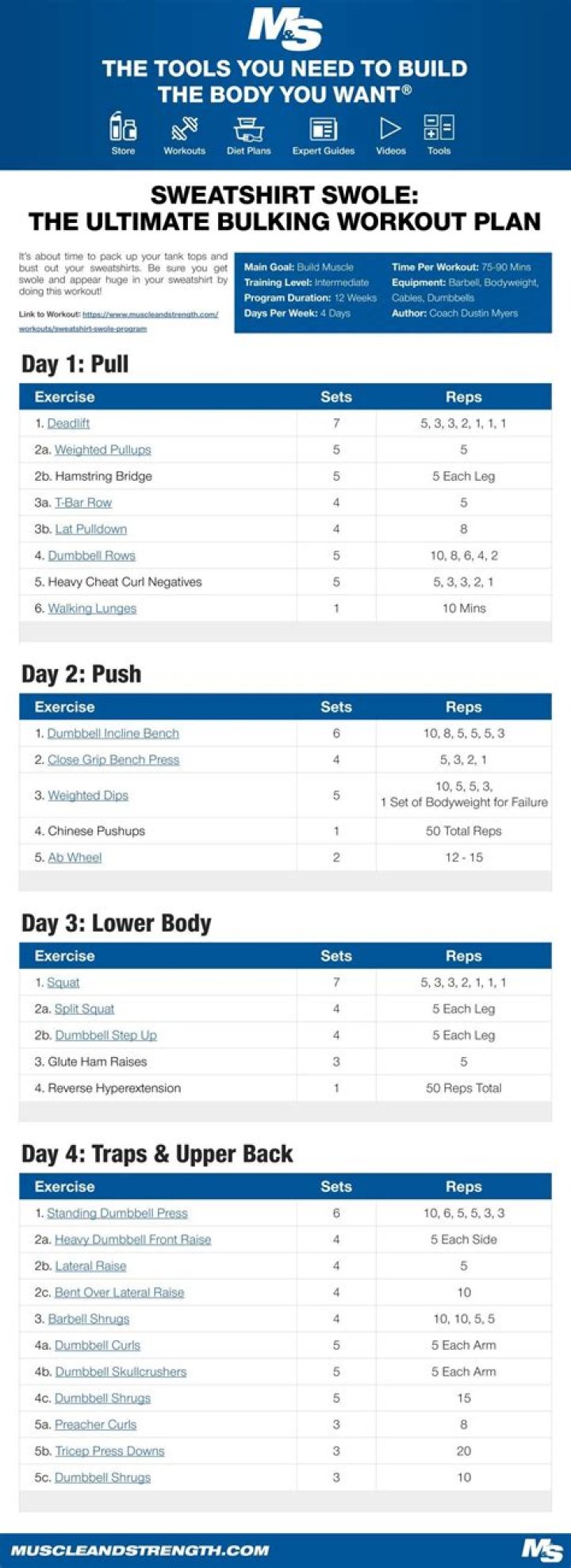 Download Your Free Bulk Workout Plan PDF
