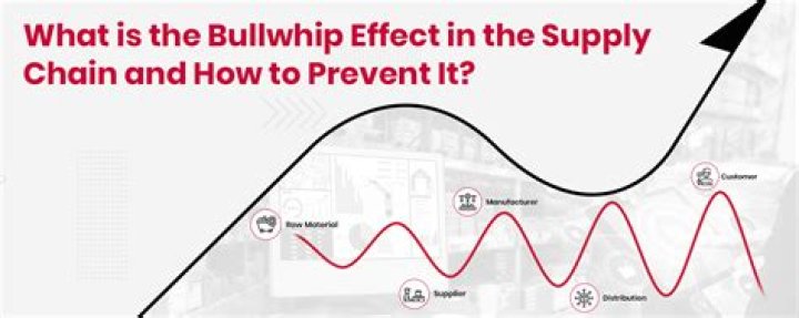 Understanding the Bullwhip Effect in Supply Chain Management: A PDF Guide