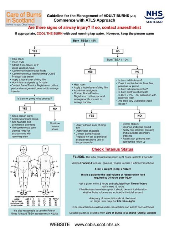 Burn Management Guidelines 2018 PDF: Essential Clinical Protocols