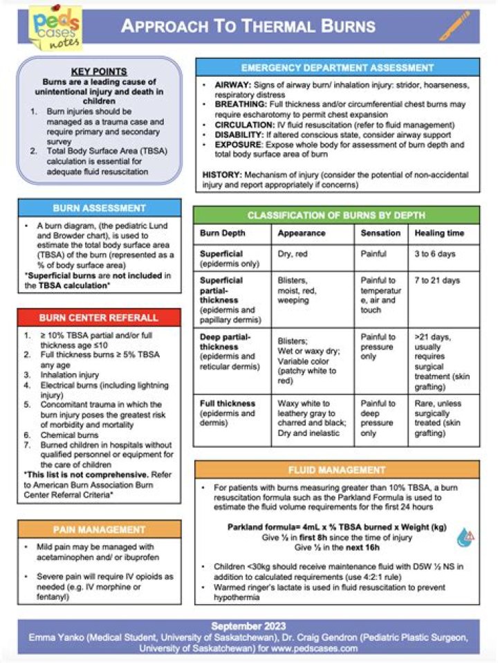 Burn Management PDF: Essential First Aid & Treatment Guide
