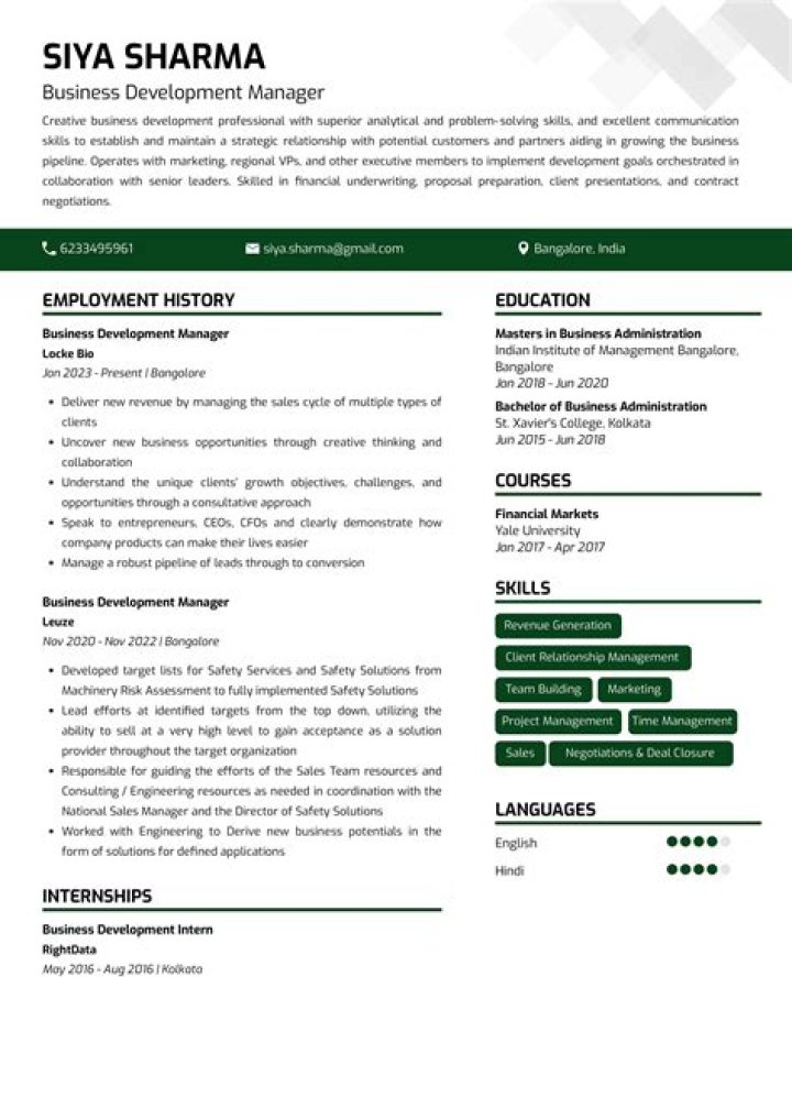 Business Development Manager Resume PDF for India | Expert Resume Template