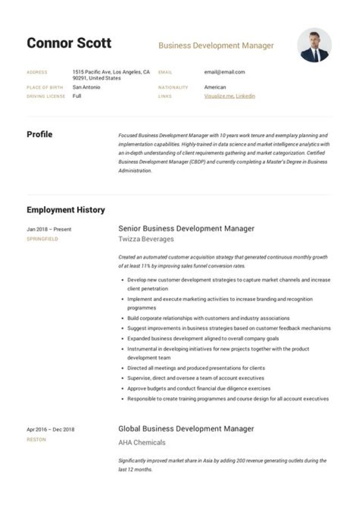 Business Development Manager Resume PDF Template & Guide