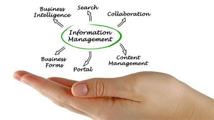 Business Information Management PDF: Streamline Your Data Efficiency