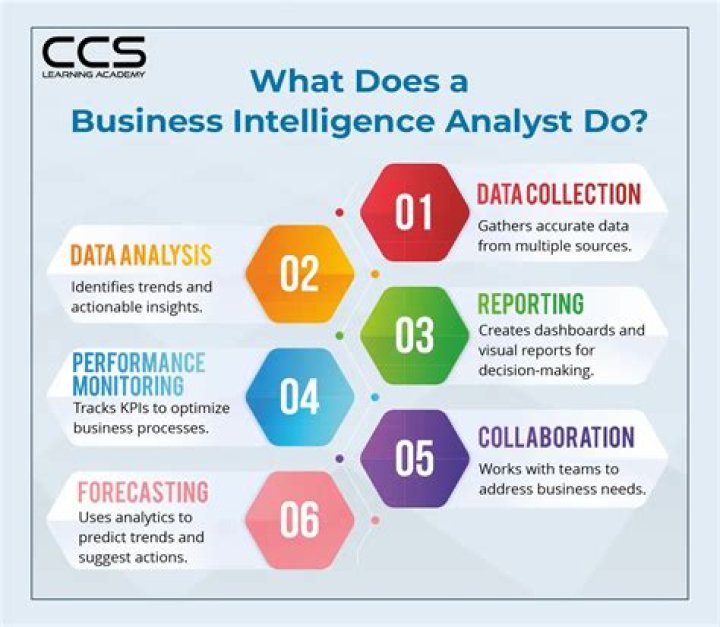 Master Business Intelligence Management with Expert PDF Guide