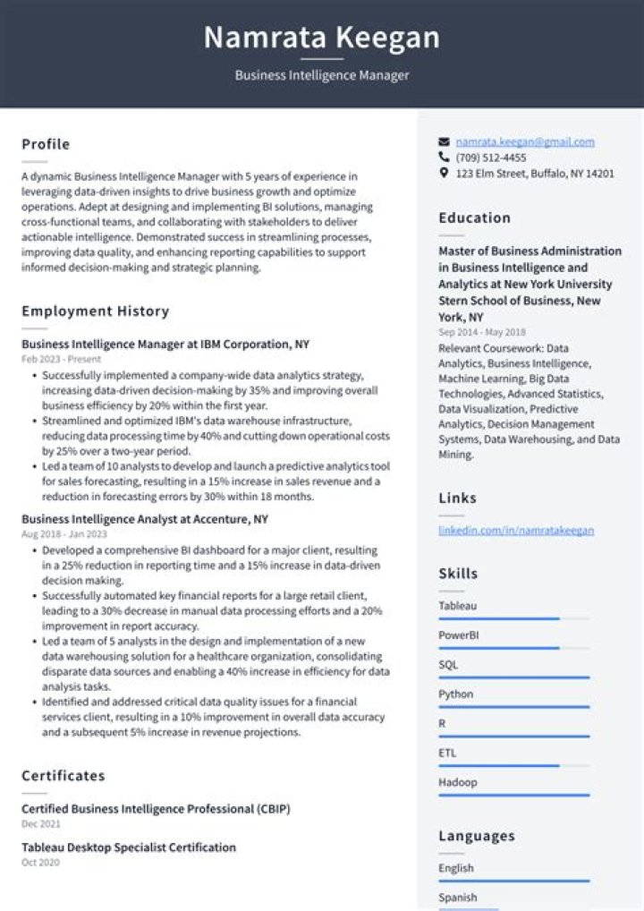 Business Intelligence Manager Resume PDF Template for Career Success