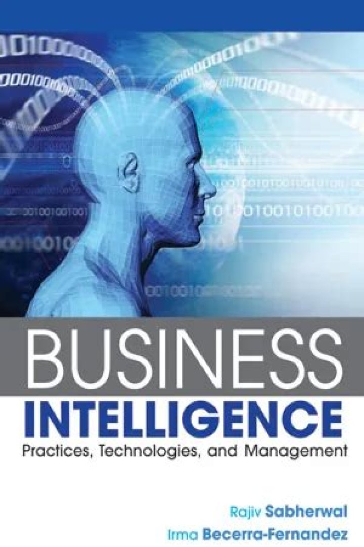 Mastering Business Intelligence: Practices, Technologies & Management PDF