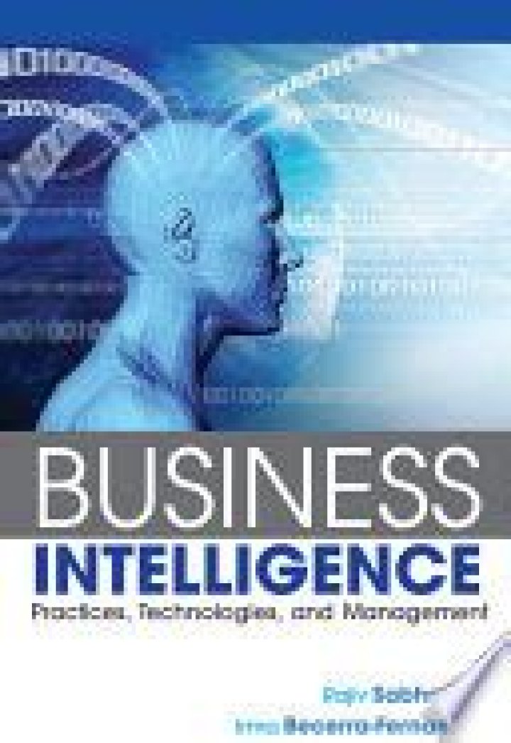 Business Intelligence Practices, Technologies, and Management: Insights by Rajiv Sabherwal PDF