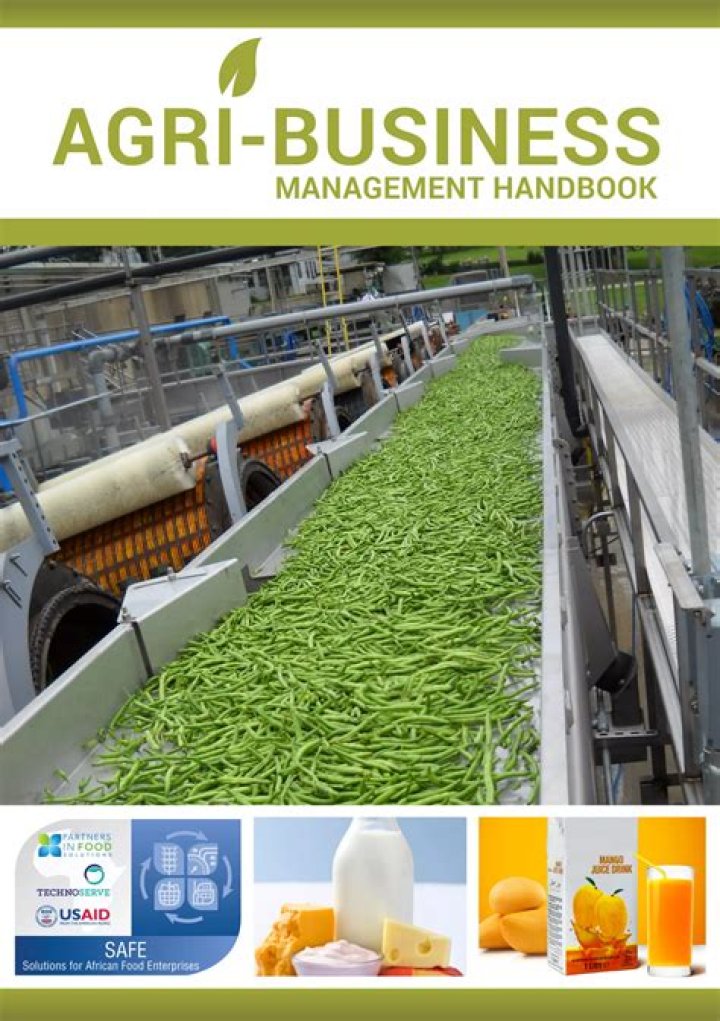 Business Management Handbook PDF: Master Your Team & Boost Productivity