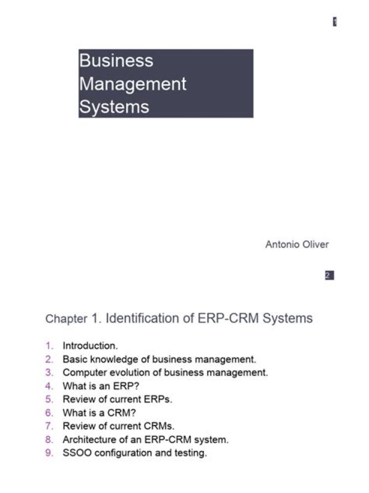 Business Management Systems PDF: Optimize Your Workflow Today