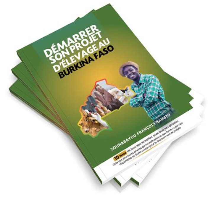Business Plan Élevage de Porcs au Cameroun PDF – Modèle Complet