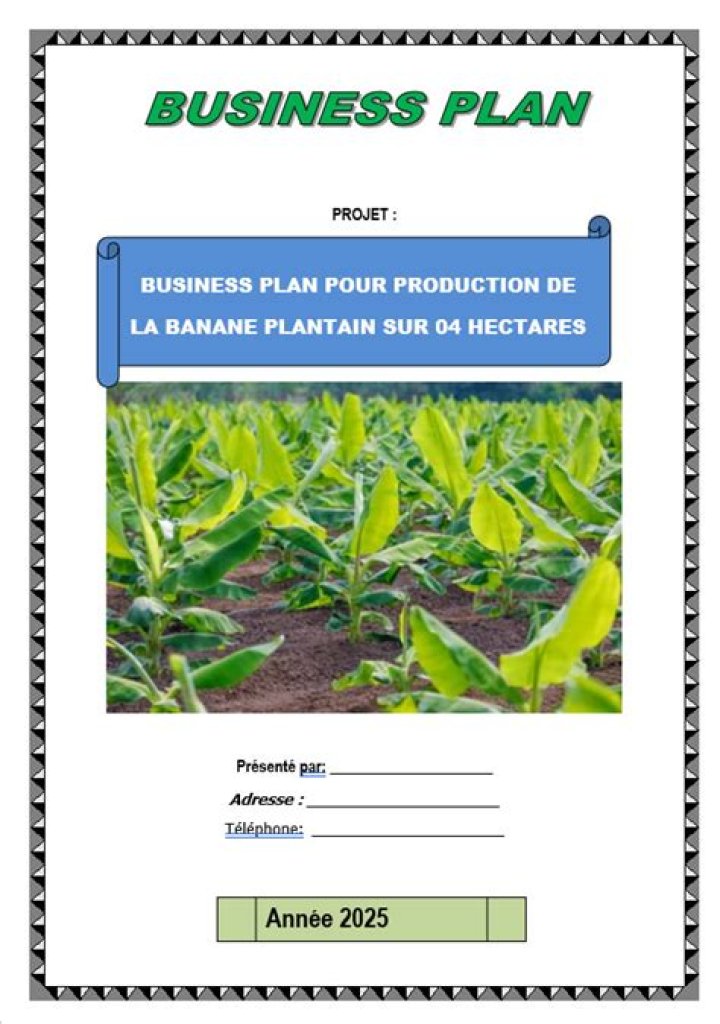 Business Plan for Banane Plantain Enterprise – PDF Template