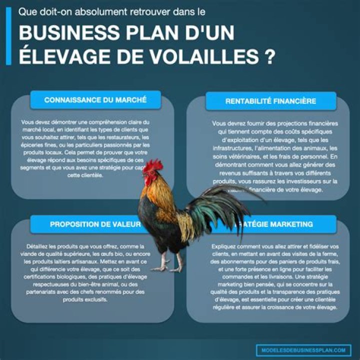 Business Plan Ferme Avicole PDF – Exemple Complet et Professionnel