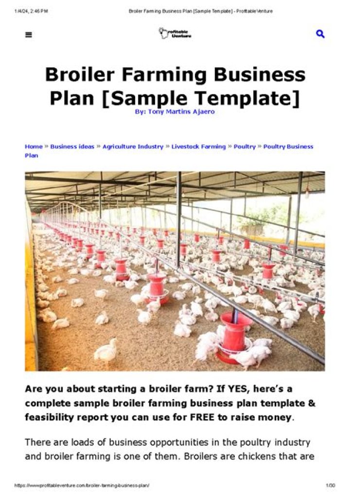 Free Business Plan for 1000 Broiler Chickens PDF Download