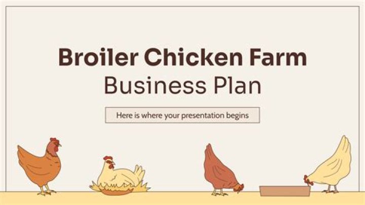 Business Plan for 1000 Broiler Chickens PDF – Full Financial & Operational Guide
