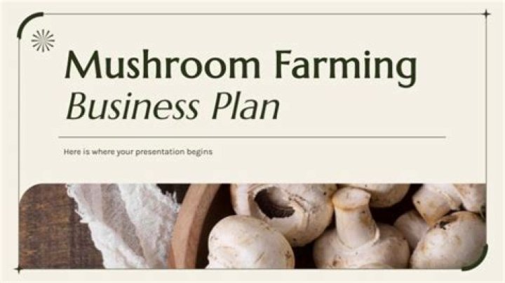 Business Plan for Mushroom Farming PDF: Start Your Profitable Cultivation