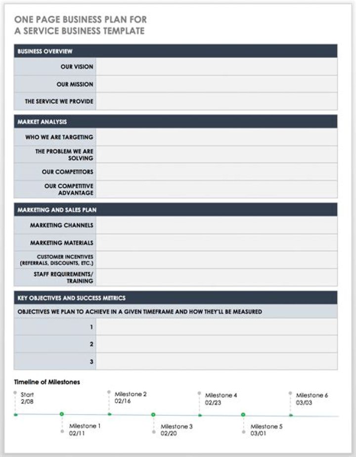 Business Plan for Service Business PDF Template