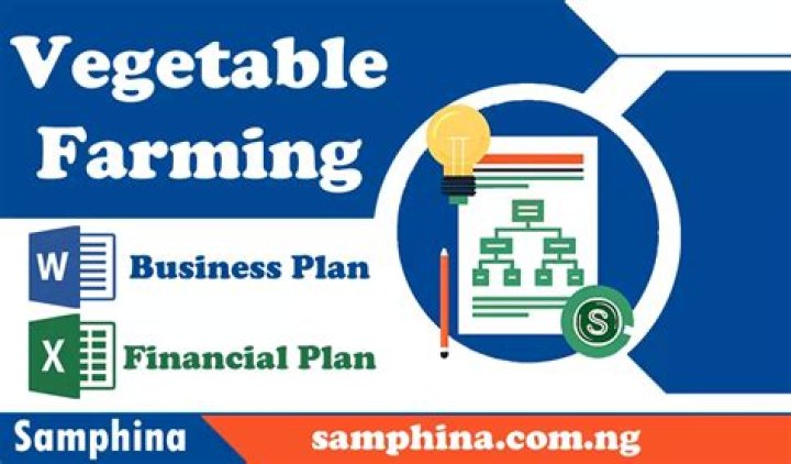 Complete Business Plan for Vegetable Farming PDF – Grow Profitably
