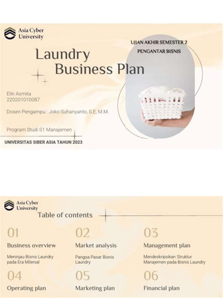 Business Plan for Laundry Business PDF: Full Template & Guide