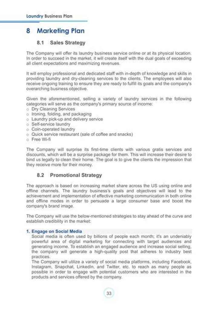 Complete Business Plan for a Laundry Service PDF