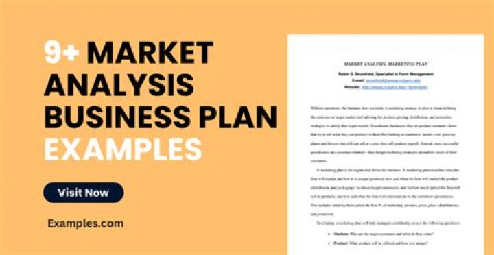Business Plan Market Analysis Example PDF for Startups