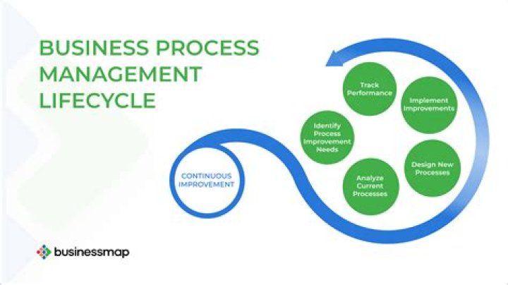 Mastering Business Process Management: A Rigorous Approach PDF