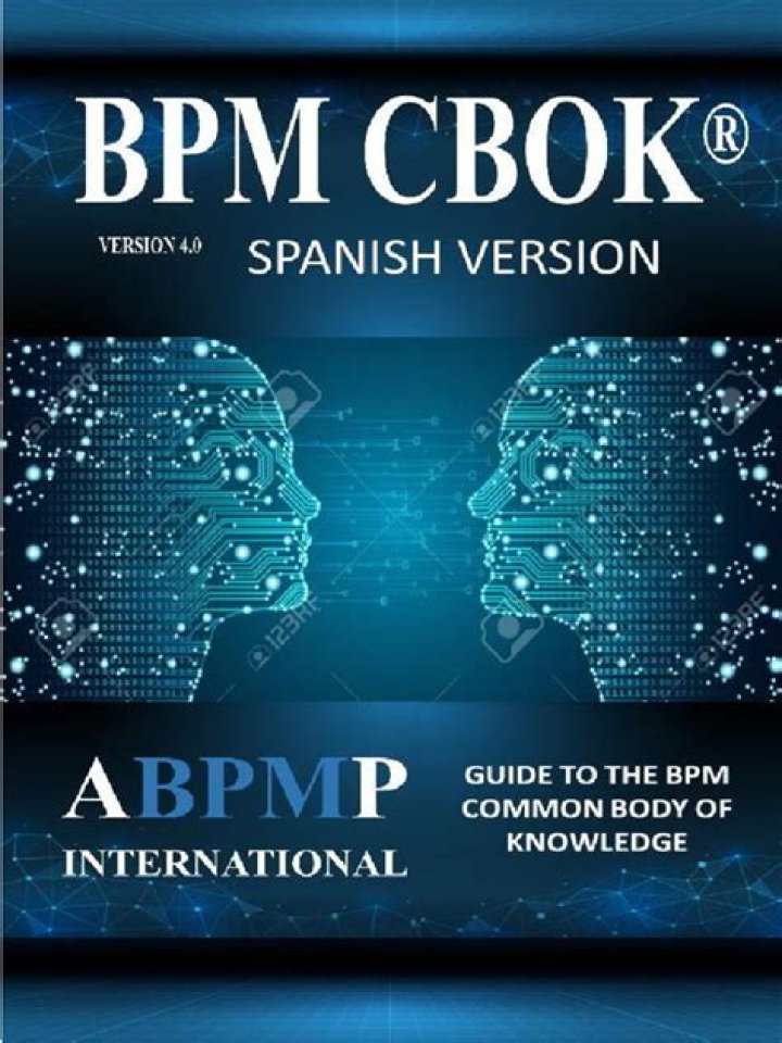 Business Process Management Common Body of Knowledge: Essential PDF Guide