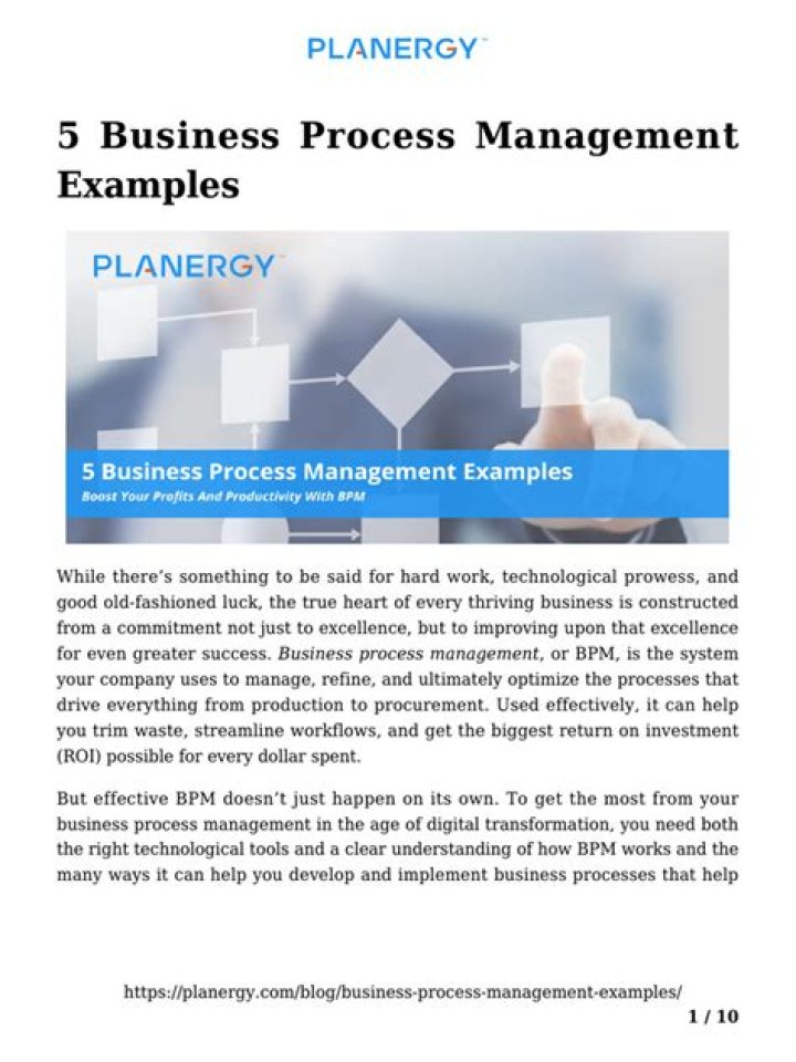 Business Process Management Examples PDF: Practical Templates & Case Studies