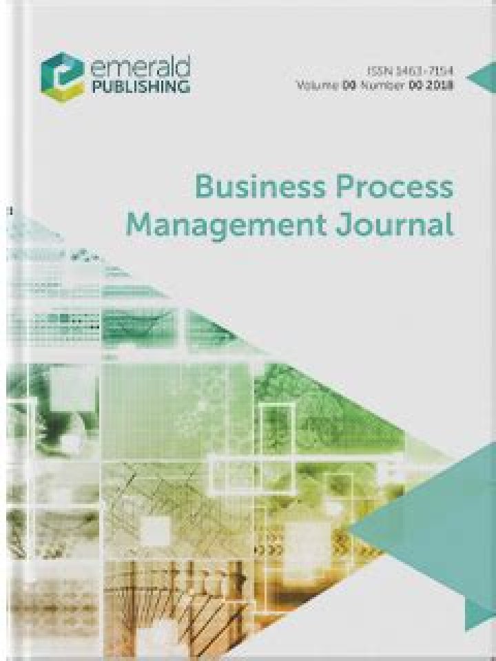Mastering Business Process Management: Expert Journal PDF Guide