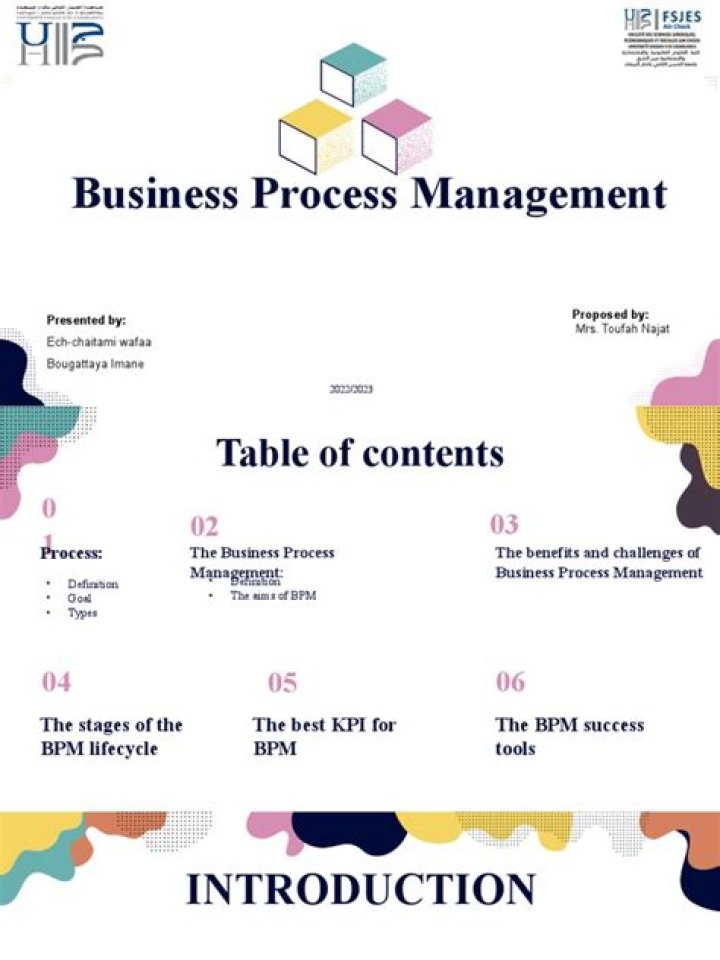 Business Process Management PDF 2017: Essential Guide for Efficient Workflows