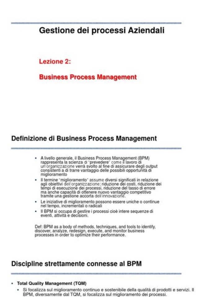 Guida Completa al Business Process Management in PDF Italiano