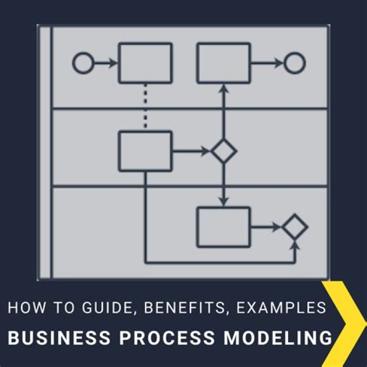Master Business Process Management with Expert PDF Guide