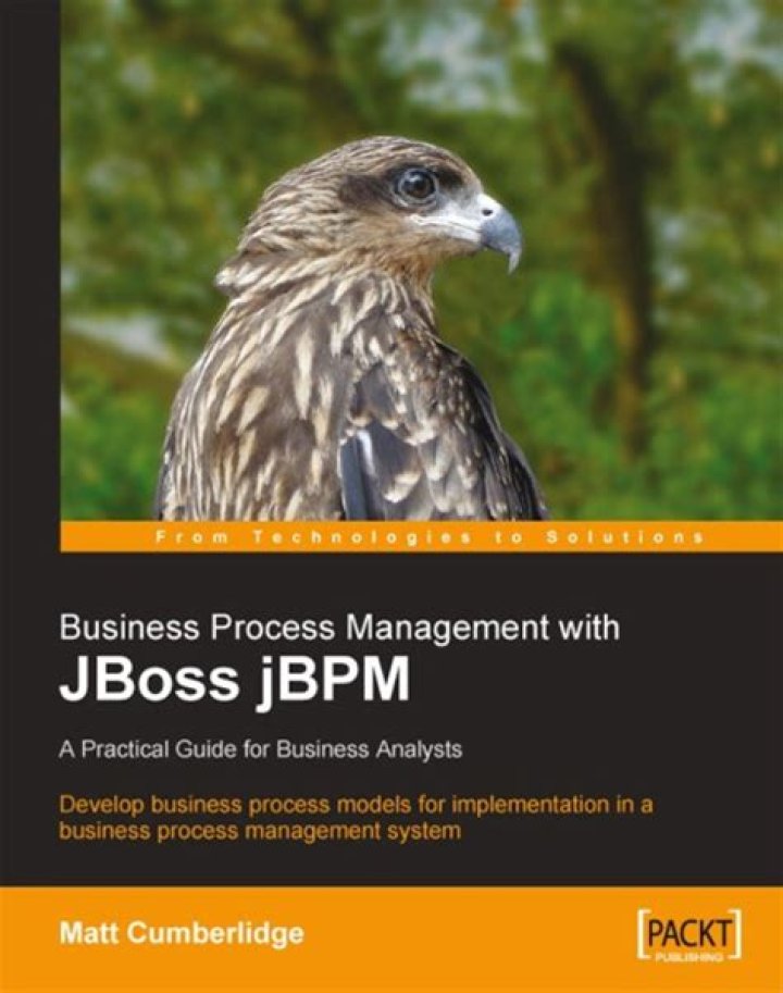 Master Business Process Management with JBoss JBPM: PDF Guide