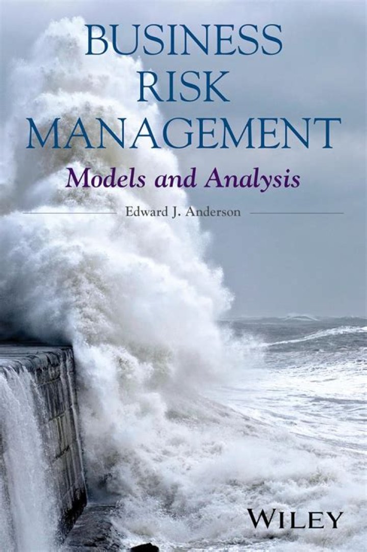Business Risk Management Models and Analysis PDF for Strategic Decision-Making