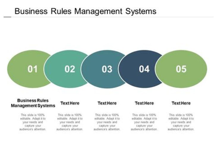 Master Business Rule Management with Downloadable PDF Guide