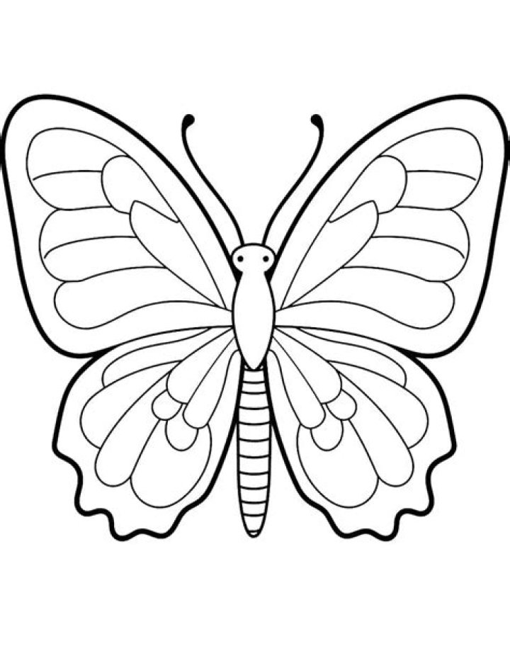 Butterfly Coloring Sheet PDF – Printable Free Coloring Pages