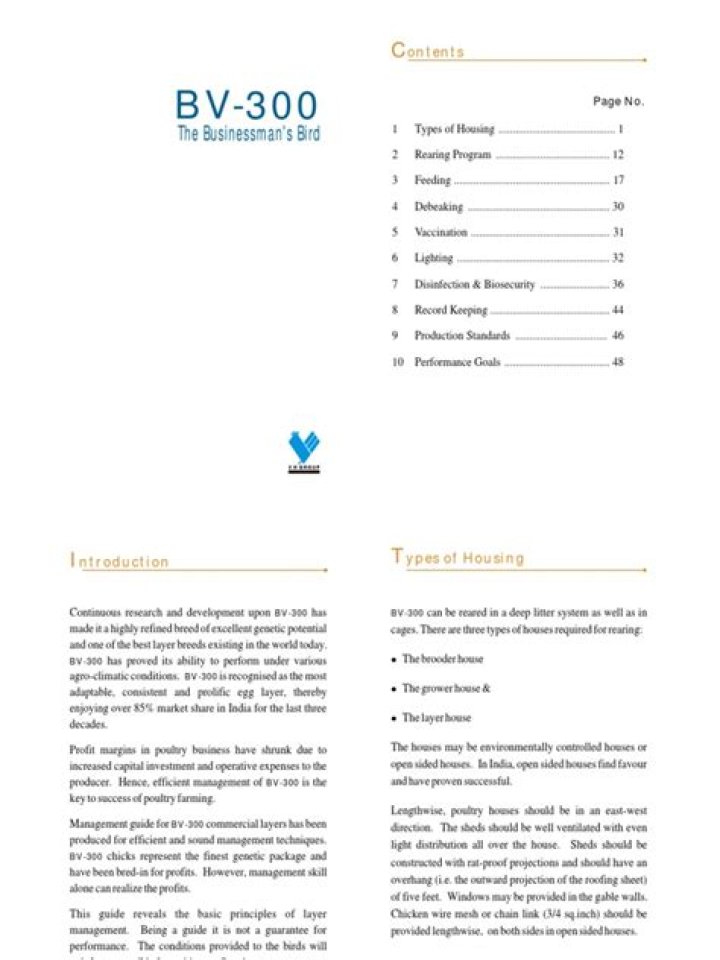 BV 300 Layer Management Guide PDF: Complete Step-by-Step Tutorial