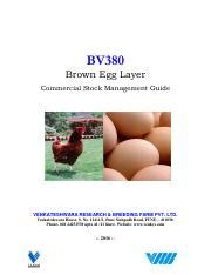 BV 380 Layer Management Guide PDF – Complete Installation & Maintenance