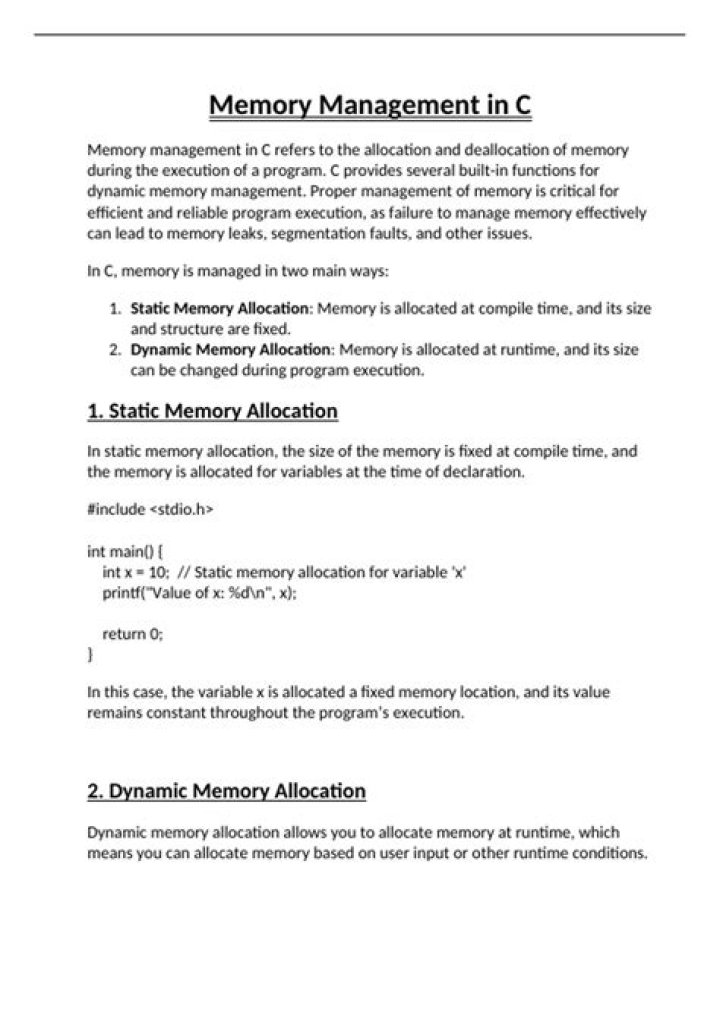 Mastering C++ Memory Management with PDF Files