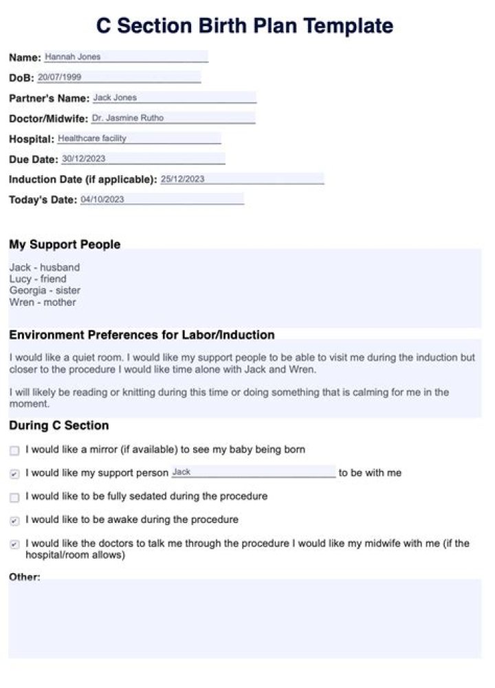 C Section Birth Plan Template PDF – Free Download