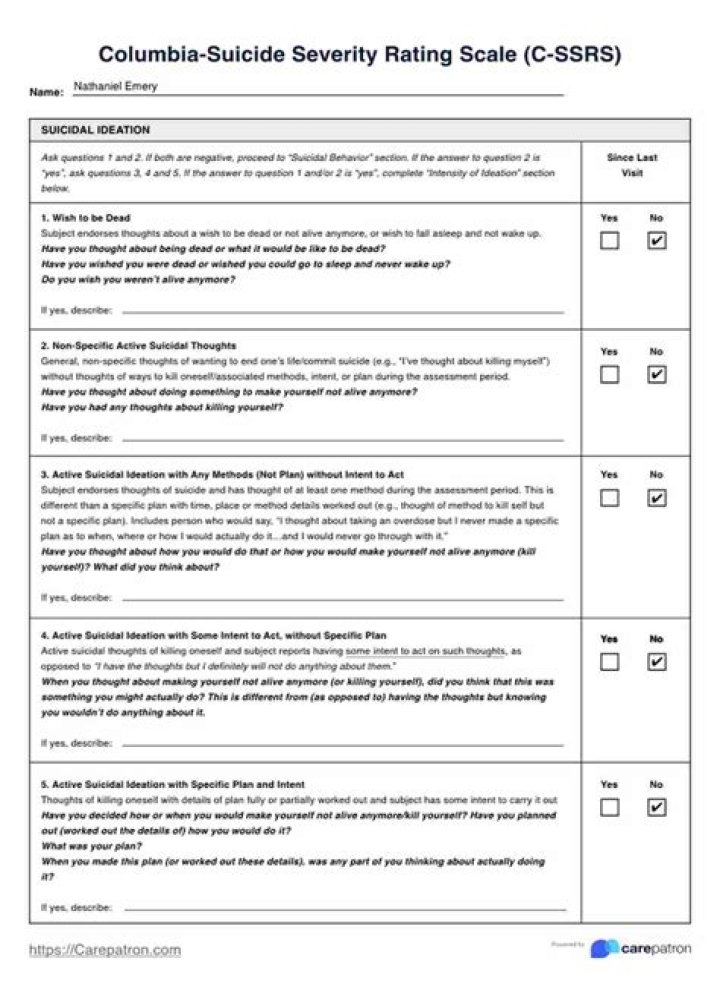 C-ssrs Scoring Sheet PDF: Download Accurate Government Audit Template