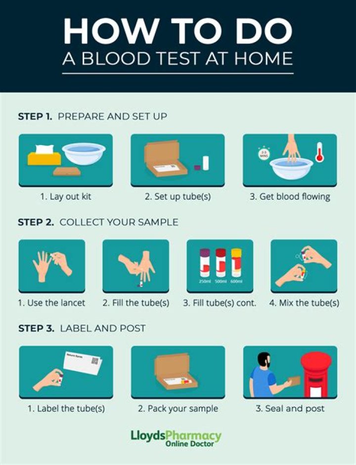 Cümlenin Özelleri Test PDF – Eğitim Materyalı