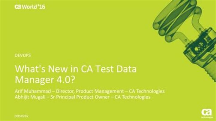Efficient CA Test Data Manager PDF for Seamless Quality Assurance