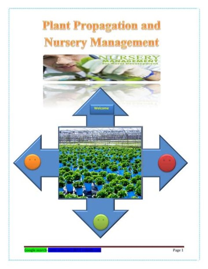 Cabbage Nursery Management PDF: Expert Guide & Best Practices