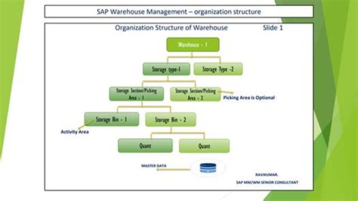 Cache Optimization Guide for SAP Warehouse Management WM Training